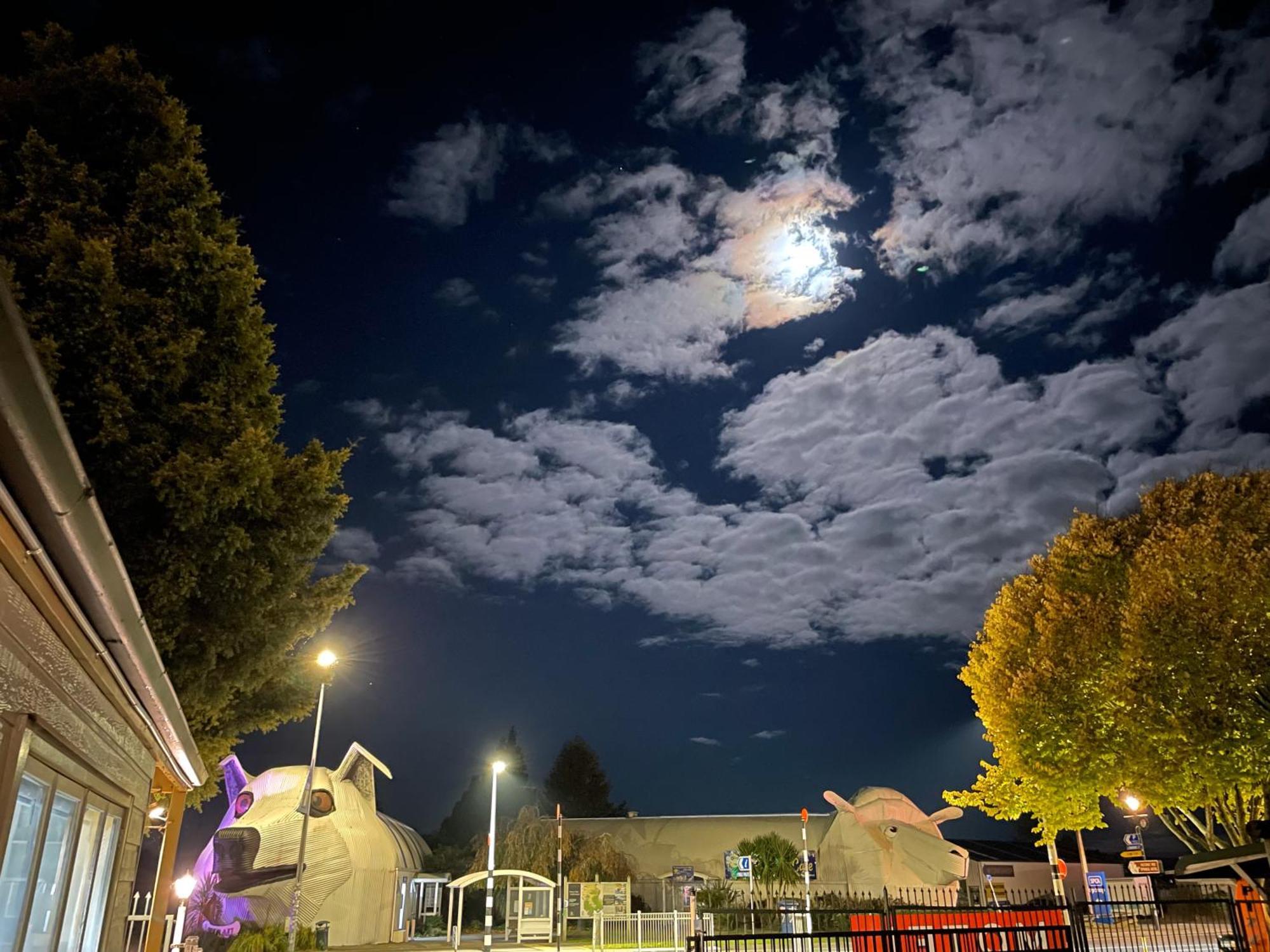 Tirau Woof Woof.....Motor Inn Exterior foto